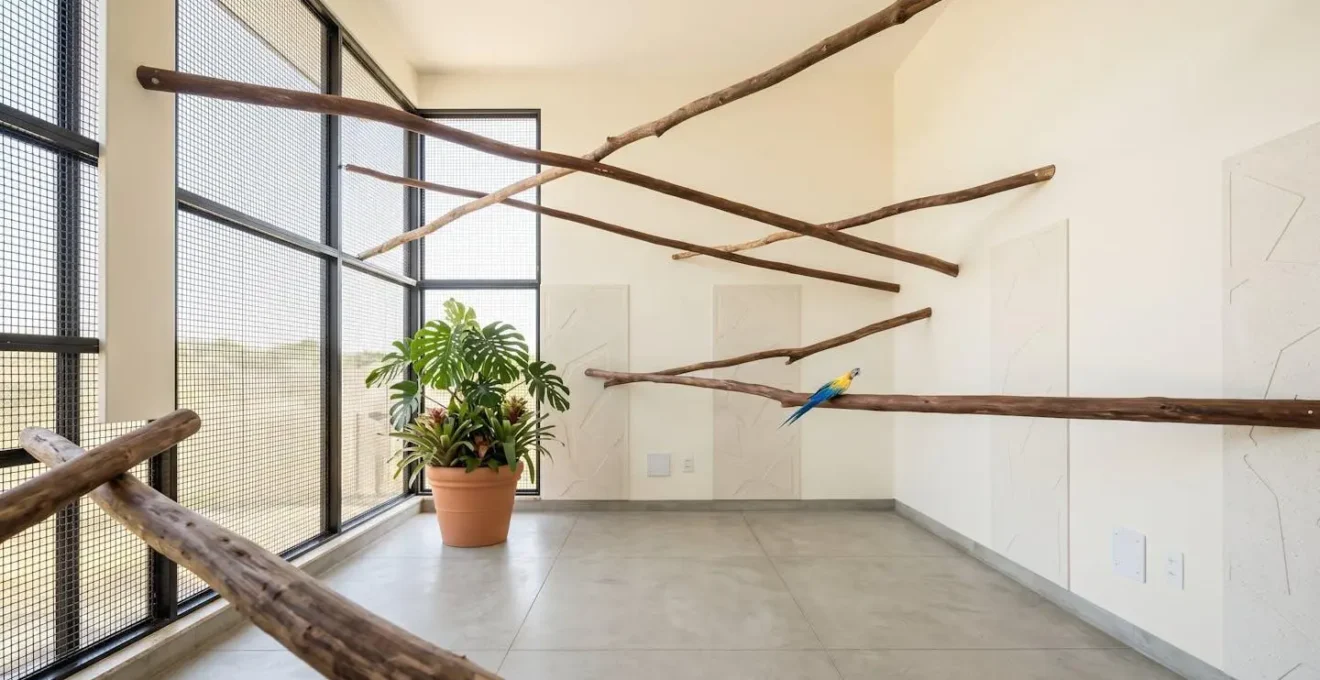Vue grand angle d'une pièce spacieuse aménagée pour le vol sécurisé d'un perroquet avec perchoirs et protections